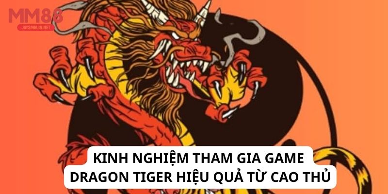 Kinh nghiệm tham gia game Dragon Tiger hiệu quả từ cao thủ