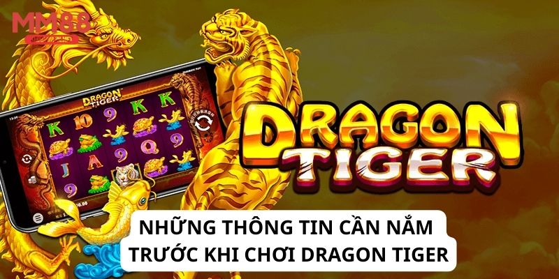 Những thông tin cần nắm trước khi chơi Dragon Tiger