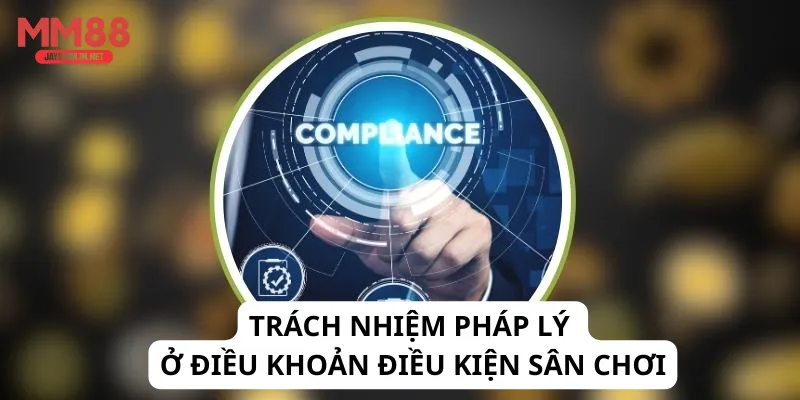 Trách nhiệm pháp lý ở điều khoản điều kiện sân chơi